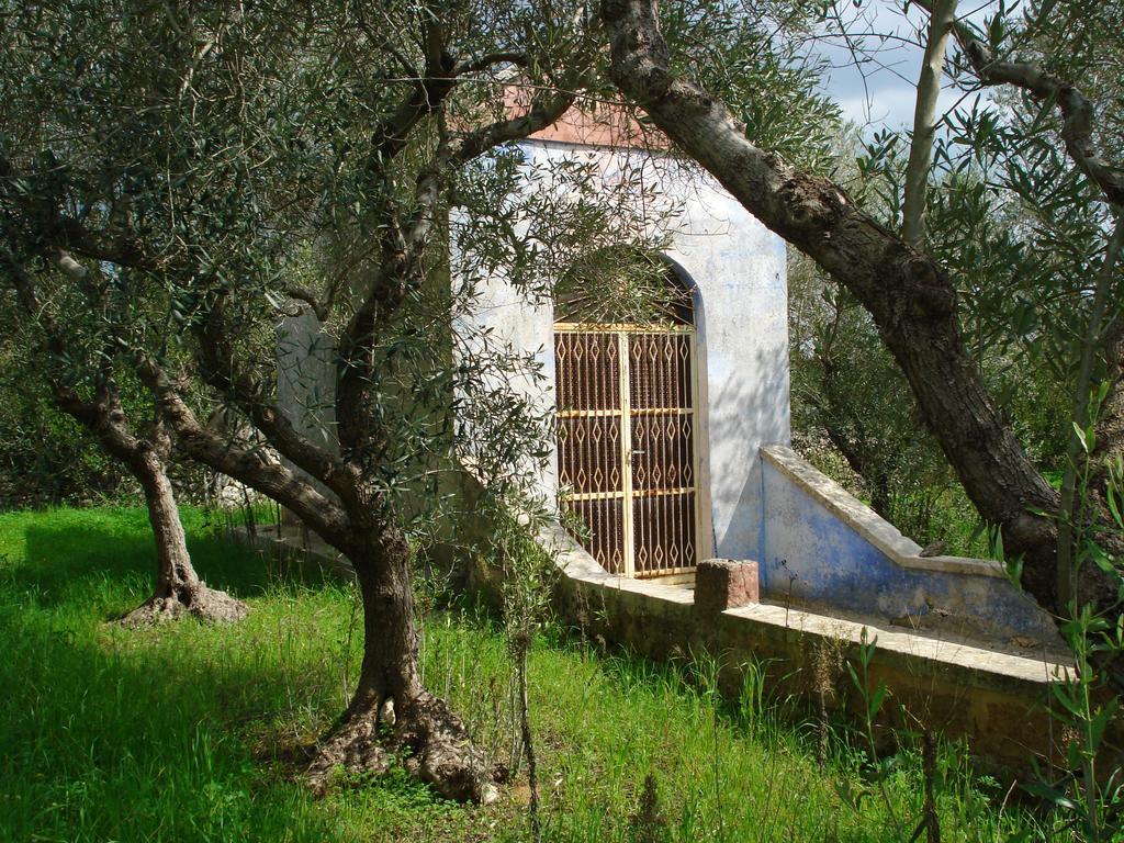 Villa Maggiulli Alfieri - Dimora Storica Lecce Bagian luar foto