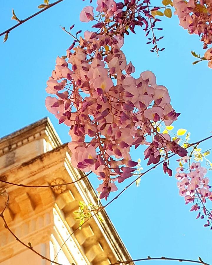 Villa Maggiulli Alfieri - Dimora Storica Lecce Bagian luar foto